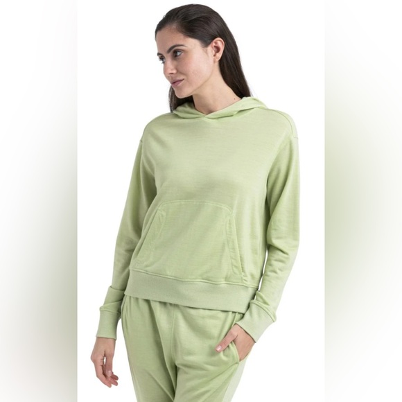 NWT [Icebreaker] Merino Blend Ii 200 Crush Pullover Hoodie in Glazen Women’s L - Picture 3 of 16